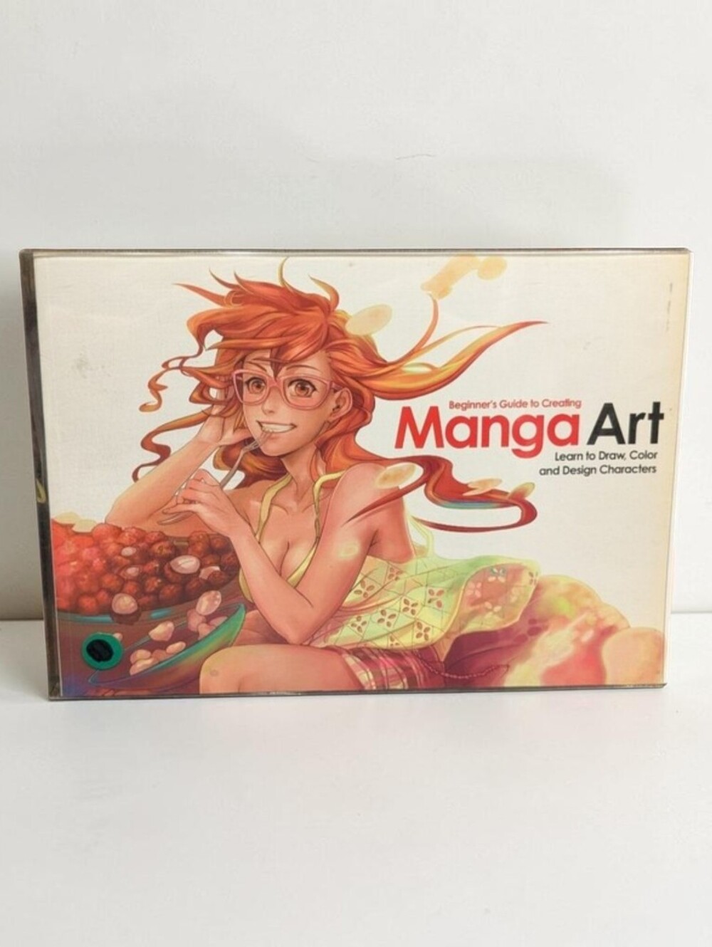 Beginner's Guide to Creating Manga Art